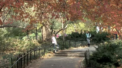 WorldClips-Central Park Walkway Steps-zoom Stock-Footage 8928672