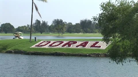 WorldClips-Doral Cart Stock Footage 8928089