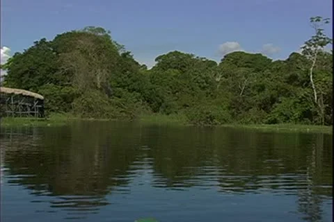 WorldClips-Entrance Jungle River-pov Stock Footage