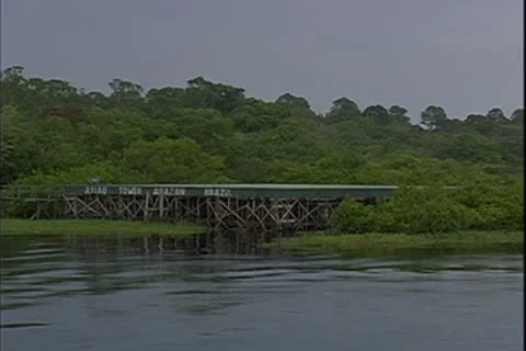 WorldClips-Jungle Helicopter Vídeos de archivo 8946721