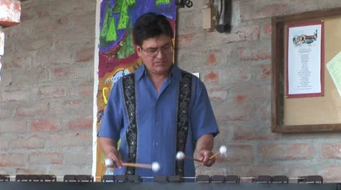WorldClips-Marimba Player-2 Video stock 8917269