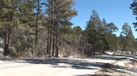 WorldClips-Mountain Pines Road Stock Footage 8924032
