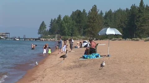 WorldClips-Nevada Beach Bathers Video stock 8924618