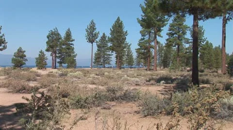 WorldClips-Nevada Beach Park Grounds Видео 8924632