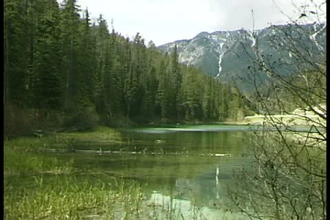 WorldClips-Olive Lake Видео 8947342