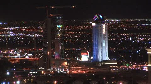 WorldClips-Palms-ws Stock Footage 8925125