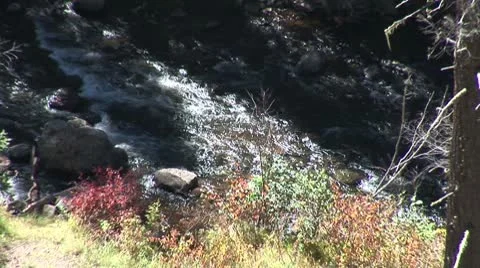 WorldClips-Pinetop Gorge Stream-ws-zoom Stock-Footage 8917392