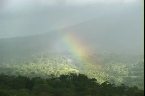 WorldClips-Rainforest Rainbow Stock Footage 8947399