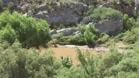 WorldClips-Salt River Foliage Stock-Footage 8917745