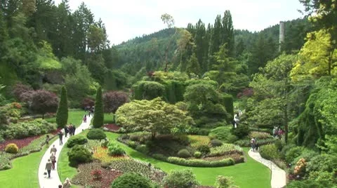 WorldClips-Sunken Garden-xws Stock Footage 8949406
