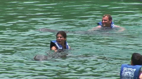 WorldClips-Xel-Ha Dolphins-Trainers Stock Footage