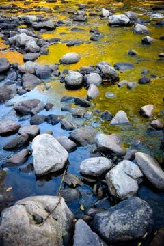 Worlds End State Park Stock Photos