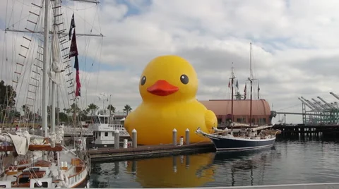 World's Largest Rubber Duck Stock Footage 41074869