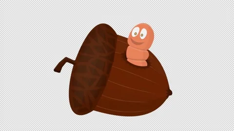 Worm. Animation of a wormy nut. Cartoon Stock Footage 152878728