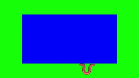 Worm on blue rectangle, looping 3D animation Stock Footage 112005823