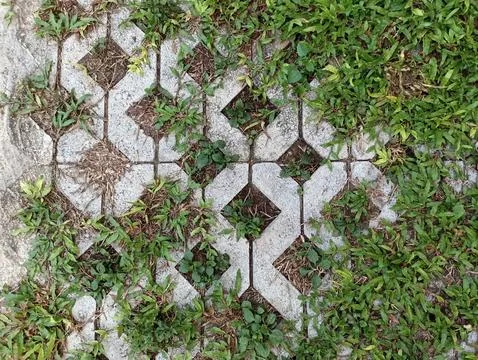 Worm bricks and grass background Stock Photos