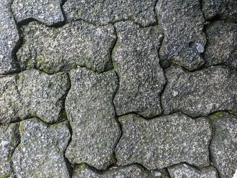 Worm bricks textures Stock Photos