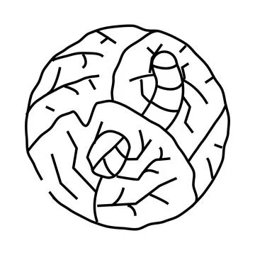 Worm cabbage line icon vector illustration Ilustración de archivo