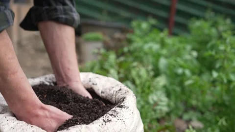 Worm composting is using worms to recycle food scraps and other organic material Stock Footage 312451406