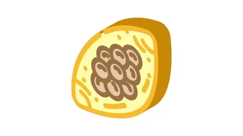 Worm eggs parasite isometric icon animation 스톡 동영상 327281884