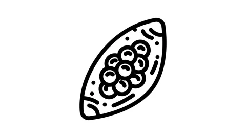 Worm eggs parasite line icon animation 스톡 동영상 326752751