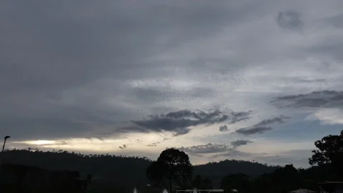 Worm eye view of forest. Vídeo Stock 306402247