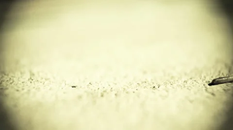 Worm Stock Footage 1007549