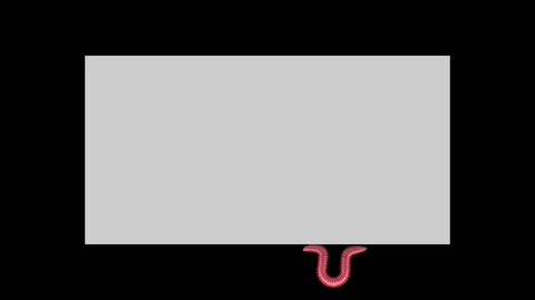Worm on gray rectangle, looping 3D animation Stock Footage 112007971