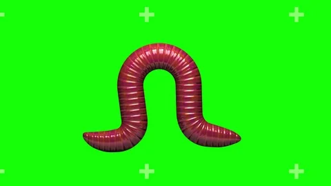 Worm on green, looping 3D animation Stockbeeldmateriaal 112012242