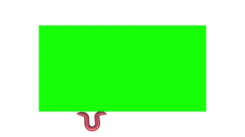 Worm on green rectangle, looping 3D animation Stock Footage 112010371