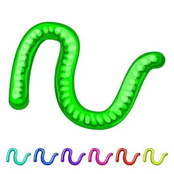 Worm jelly candy cartoon vector graphic Illustrazione stock