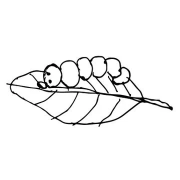Worm on a leaf doodle hand drawn イラスト素材