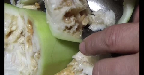 Worm on leaf Video stock 310349480