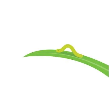 Worm on a leaf isolated on white background with ample copy space Stock Illustration