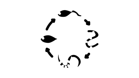 Worm lifecycle parasite glyph icon animation Video stock 326736963