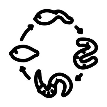 Worm lifecycle parasite line icon vector illustration Stock Illustration