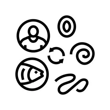 Worm lifecycle parasite line icon vector illustration Stock Illustration
