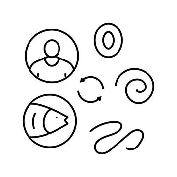 Worm lifecycle parasite line icon vector illustration Stock Illustration