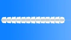 WormStock Music