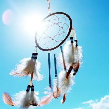 Worm s Eyeview Dream Catche Stock Photos