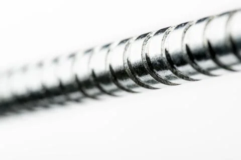 Worm Screw on White Stock Photos