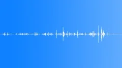 Worm slither 04Sound Effect