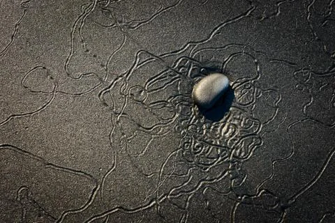 Worm Tracks at Ruby Beach in Olympic National Park Stock Photos