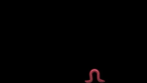 Worm on transparent background, looping 3D animation Stockbeeldmateriaal 112010332