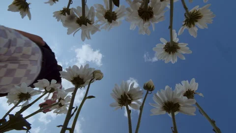 Worm view. POV. Stylish man in fashion dress doing big step and jumps through Stock Footage 246975237