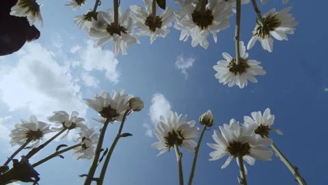 Worm view. POV. Stylish man in fashion dress doing big step and jumps through Stock Footage 247133481