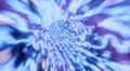 Wormhole flight through space warp speed dimension HD Footage