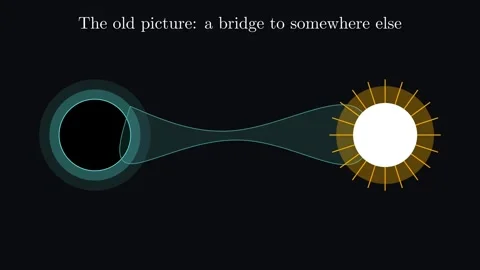 Wormhole Roots - How a black hole lets information go Stock-Footage 341379658