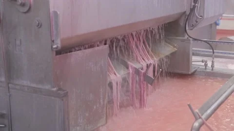 Worming machine in operation multi-stage cleaning of worms 스톡 동영상 200829561