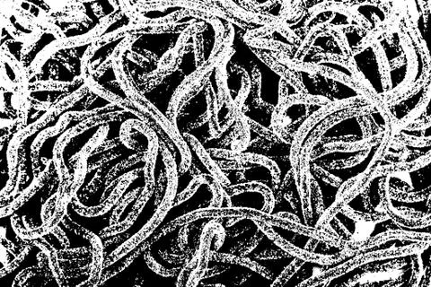 Worms abstract texture Stock Illustration
